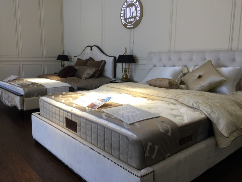 香蕉视频软件下载宁波店摆设