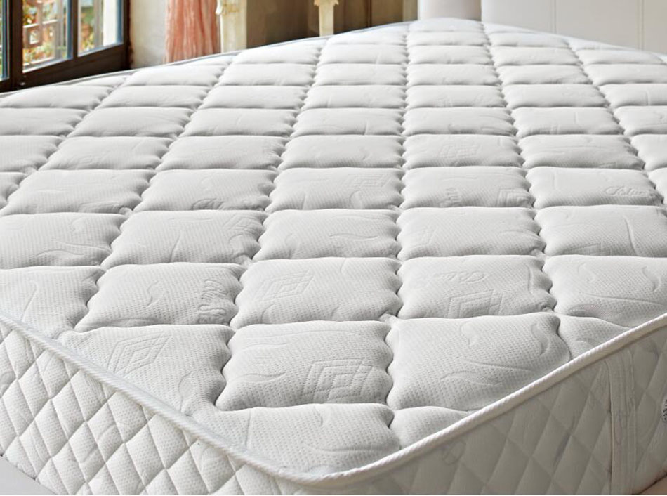 香蕉视频软件下载蓝星91香蕉视频在线观看细节图