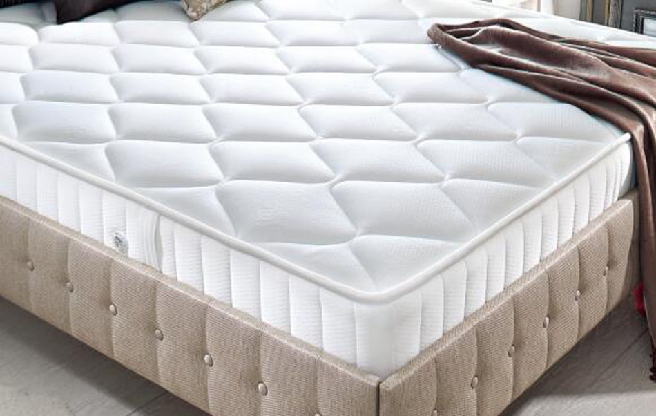 星级91香蕉视频在线观看