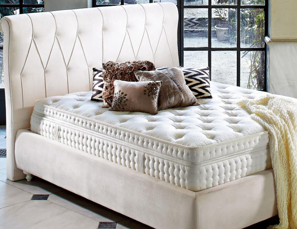 香蕉视频软件下载储物床帝国