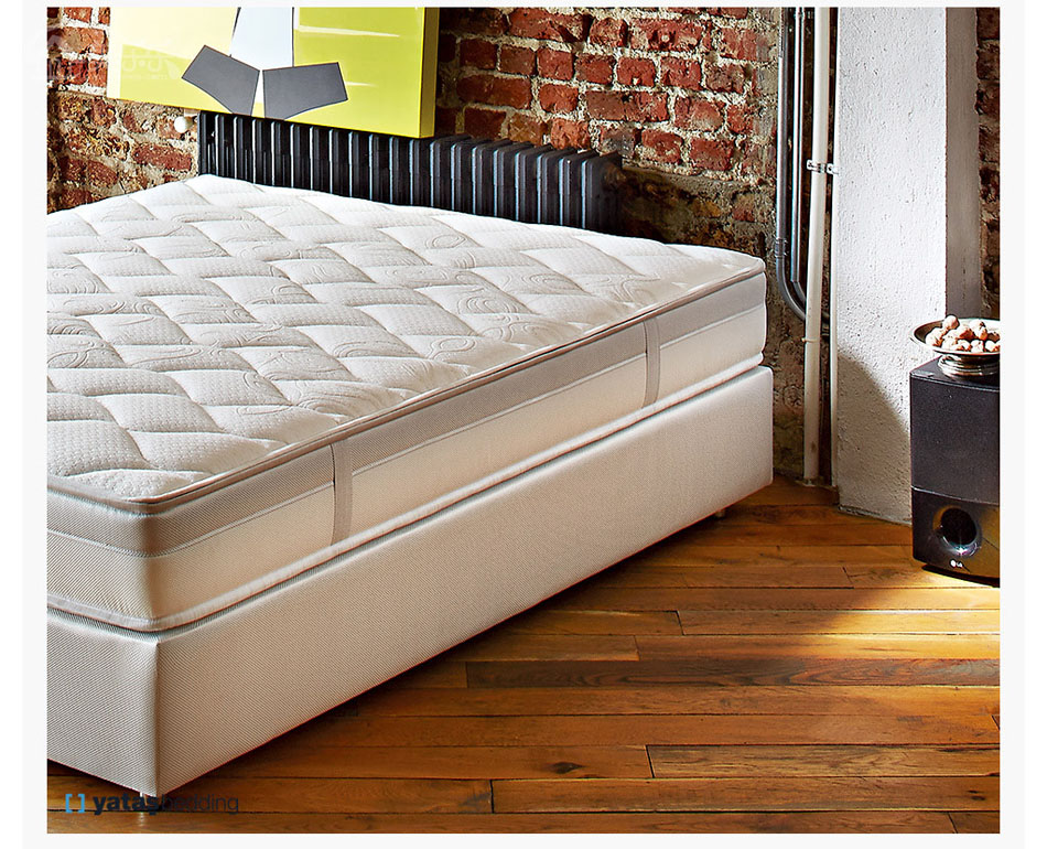 睡眠专家91香蕉视频在线观看，欧洲进口91香蕉视频在线观看香蕉视频软件下载